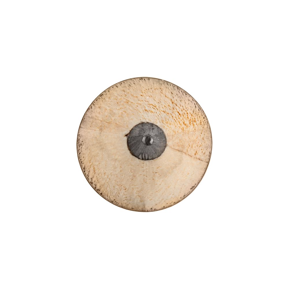 Карандаш простой Hand Friend с ластиком, синий / Миниатюра WWW (1000)