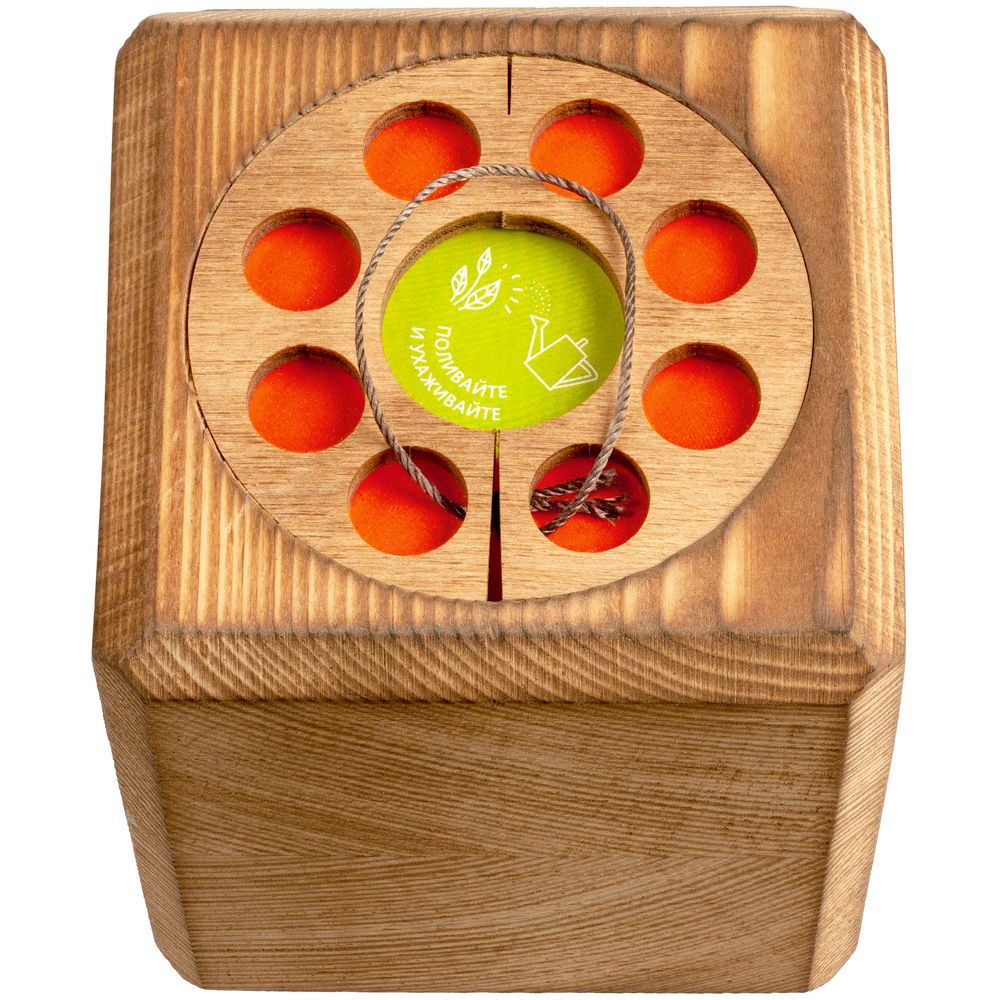 Набор для выращивания с органайзером «Экокуб Burn», ель голубая / Миниатюра WWW (1000)