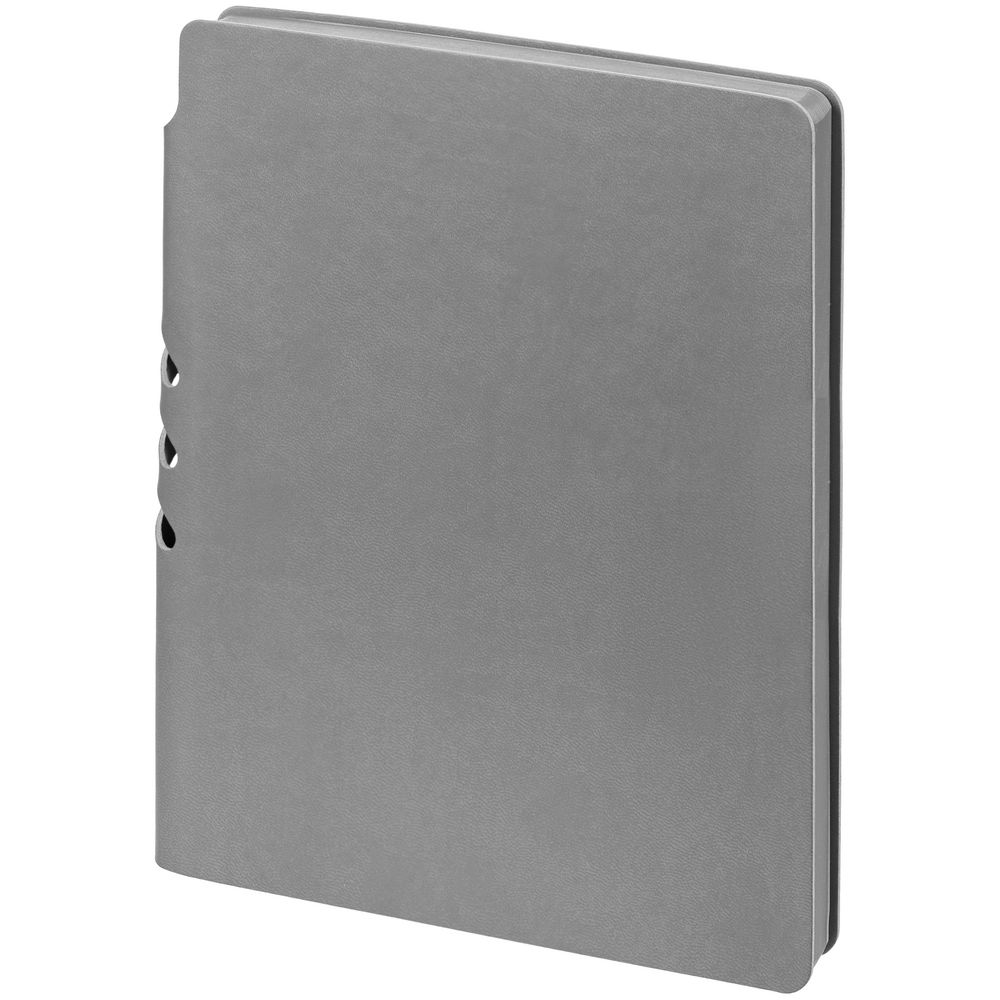 Ежедневник Flexpen Color, датированный, серый / Миниатюра WWW (1000)