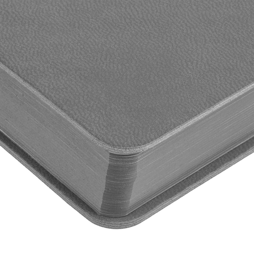 Ежедневник Flexpen Color, датированный, серый / Миниатюра WWW (1000)