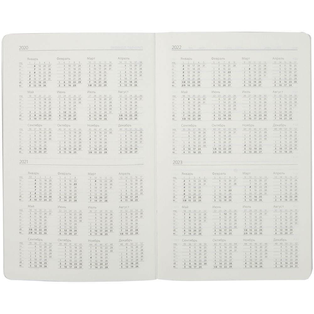 Ежедневник My Day, недатированный, серебристый / Миниатюра WWW (1000)