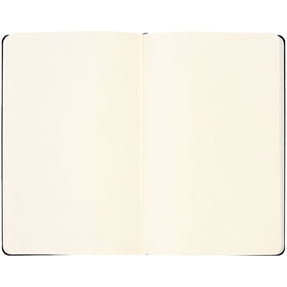 Записная книжка Moleskine Classic Large, без линовки, черная / Миниатюра WWW (1000)