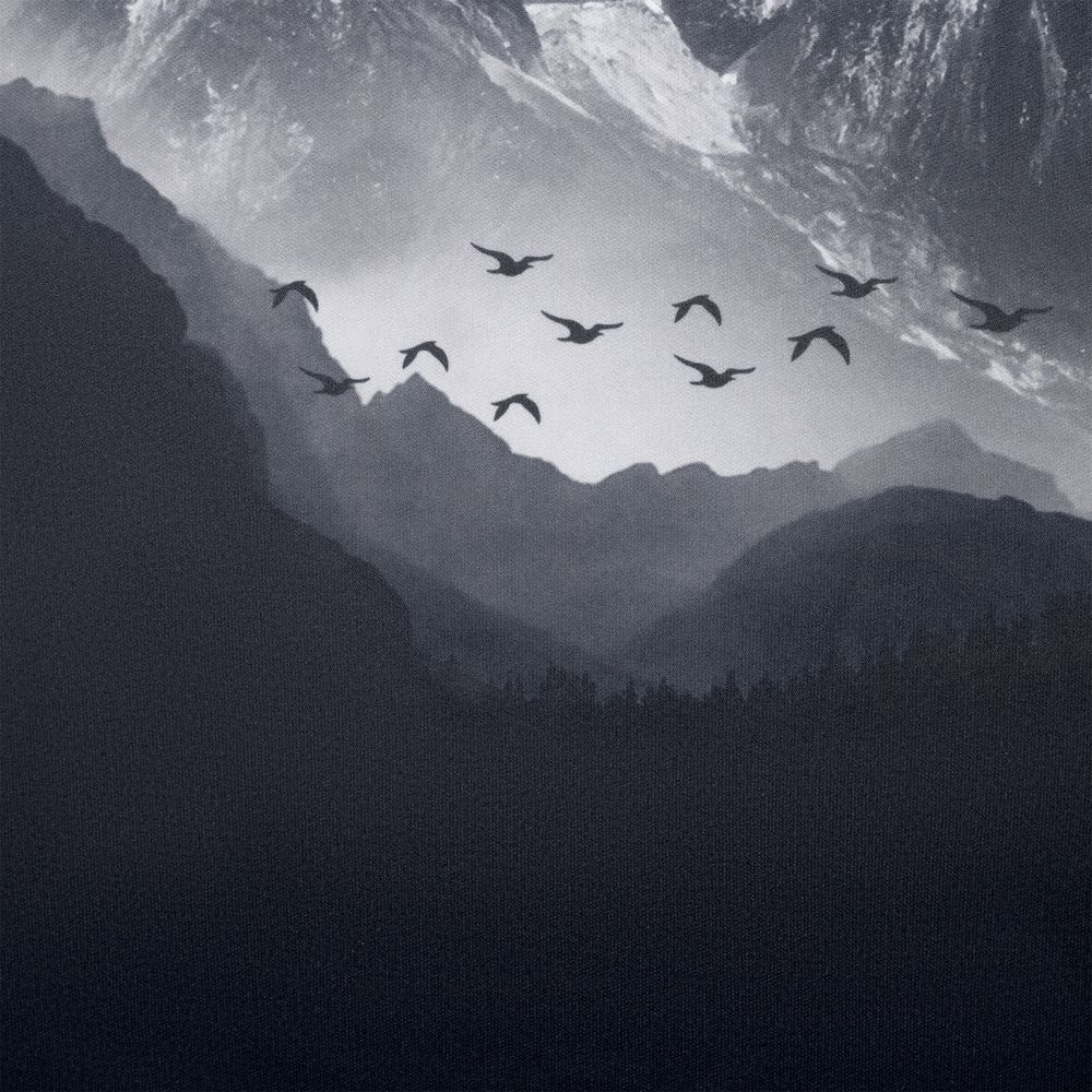 Футболка «Горы» / Миниатюра WWW (1000)