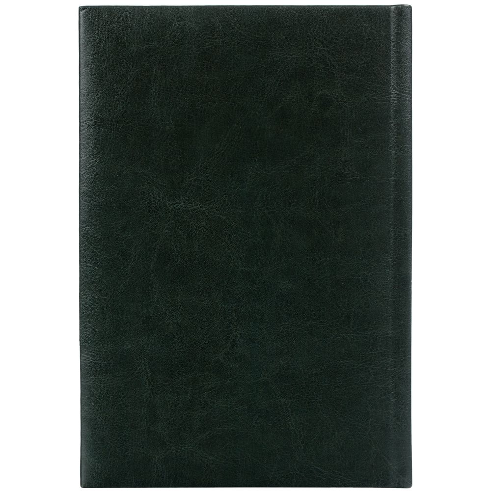 Ежедневник Baza, датированный, зеленый / Миниатюра WWW (1000)