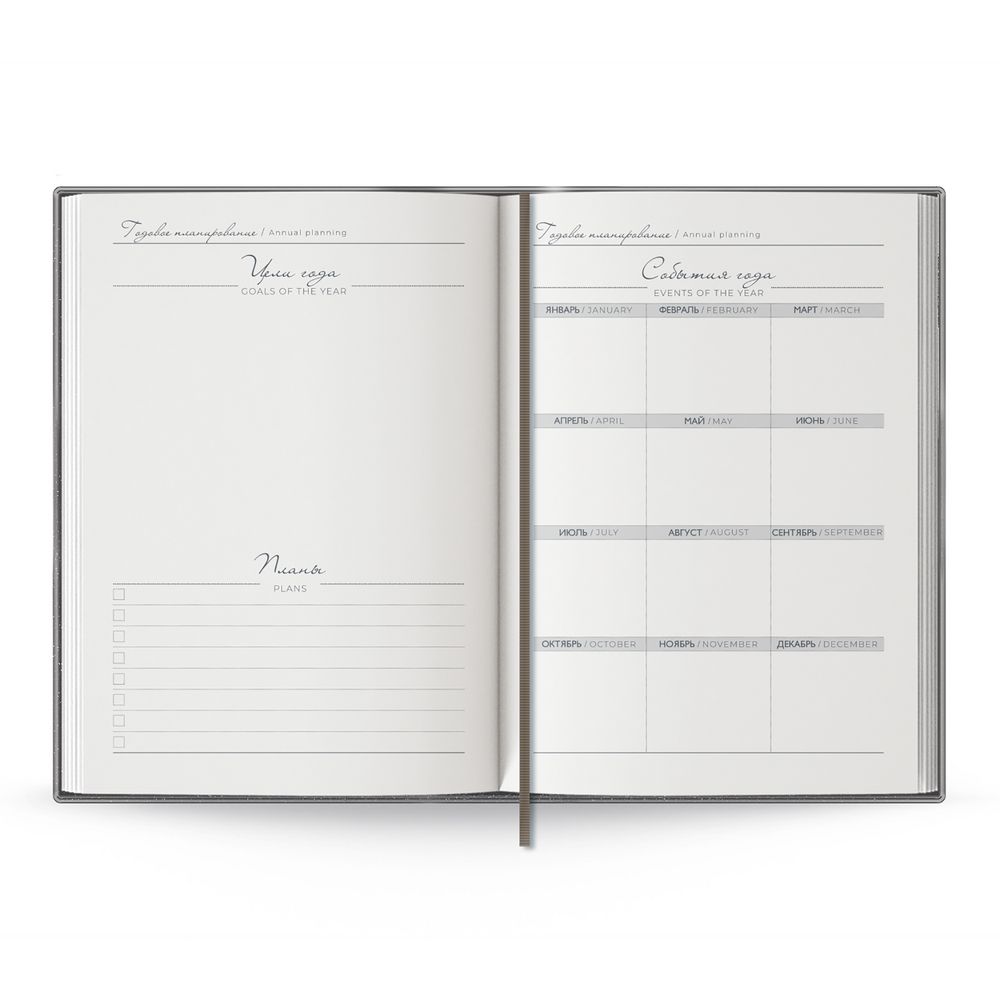 Ежедневник Anaconda, недатированный, серебристый / Миниатюра WWW (1000)