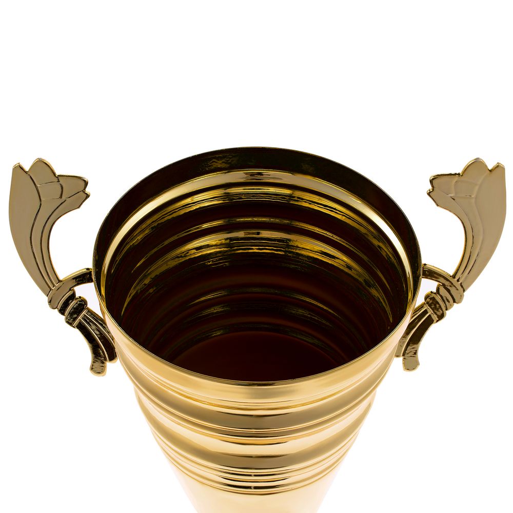 Кубок Recordsman, золотистый / Миниатюра WWW (1000)