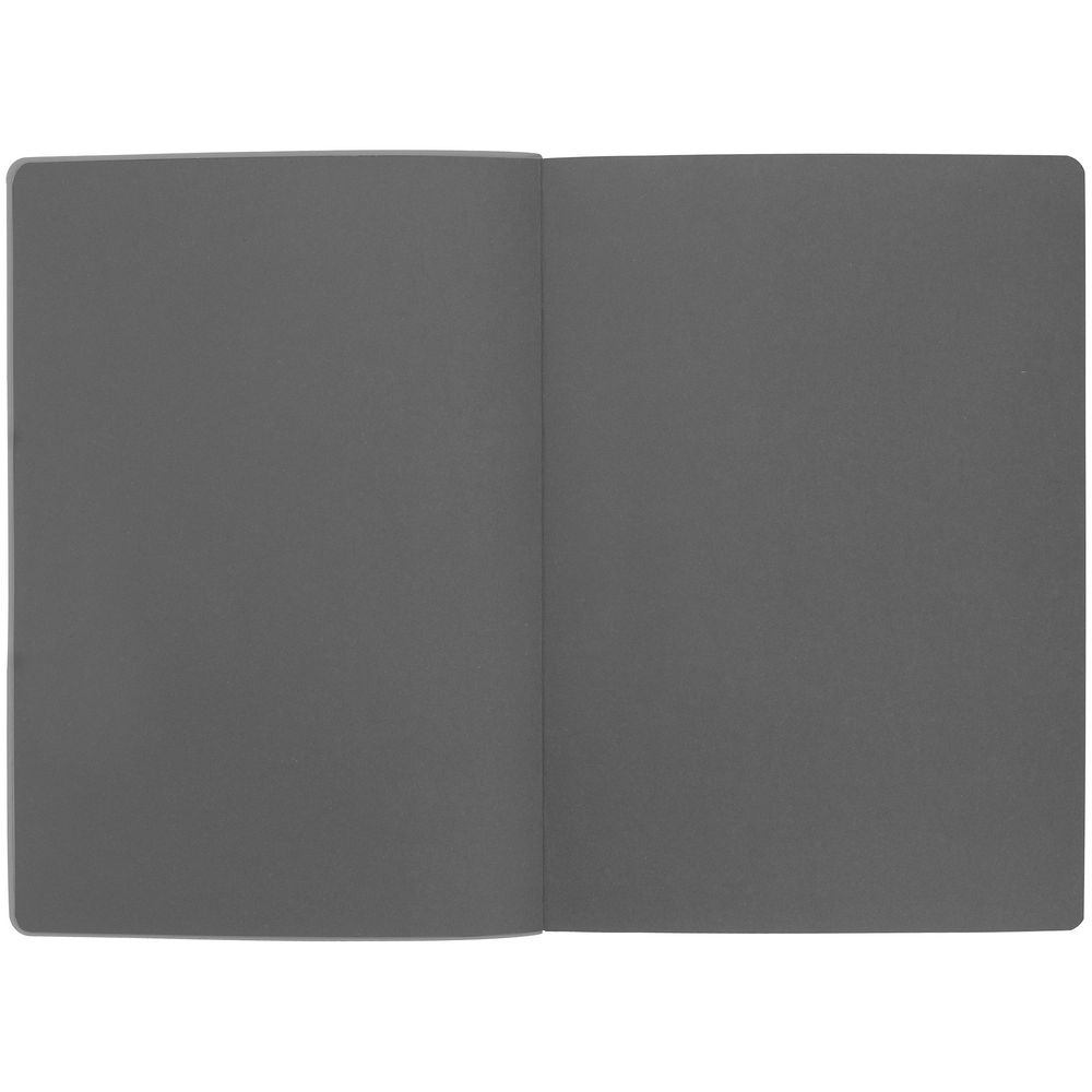 Ежедневник Flexpen Shall, недатированный, серый / Миниатюра WWW (1000)