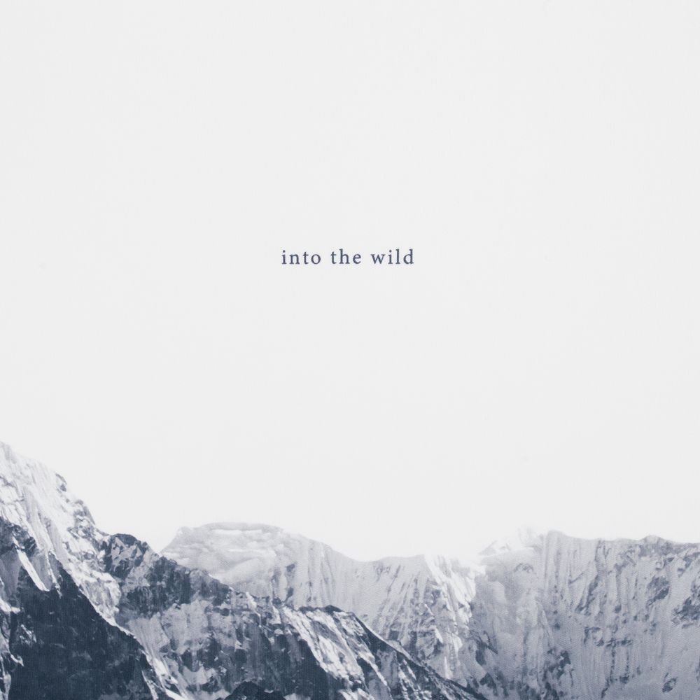 Футболка «Горы» / Миниатюра WWW (1000)