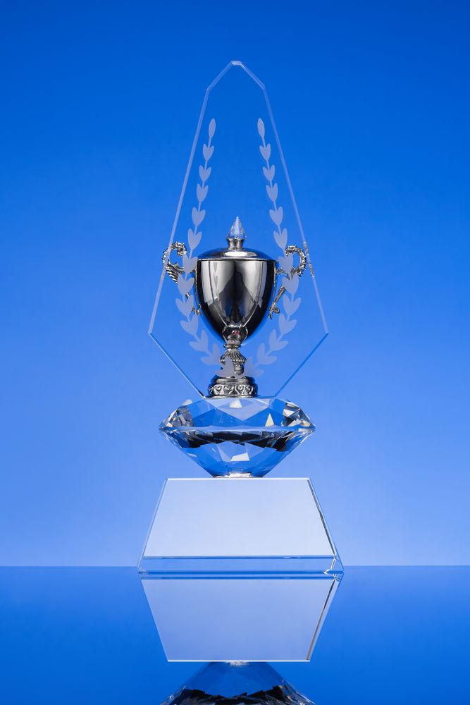 Кубок Laurel, уценка / Миниатюра WWW (1000)