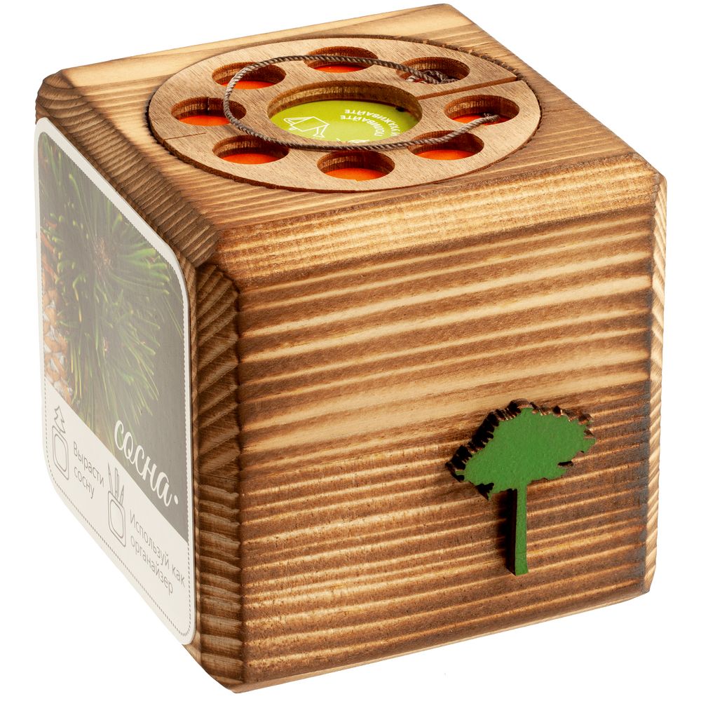 Набор для выращивания с органайзером «Экокуб Burn», сосна / Миниатюра WWW (1000)
