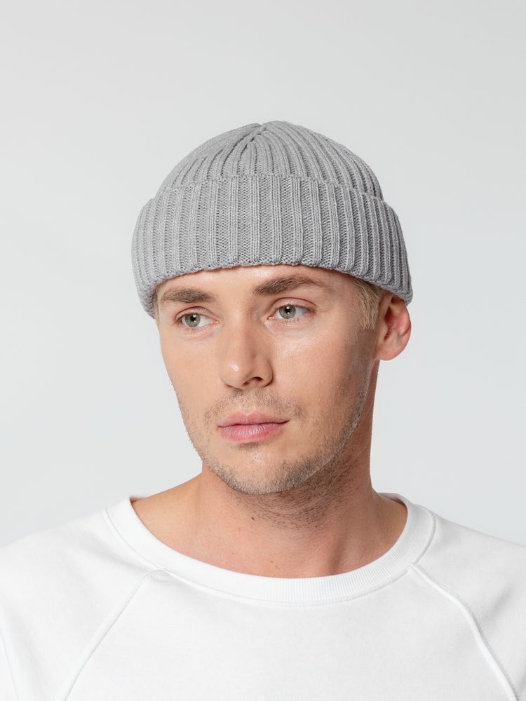 Шапка Hipsta, светло-серая / Миниатюра WWW (1000)