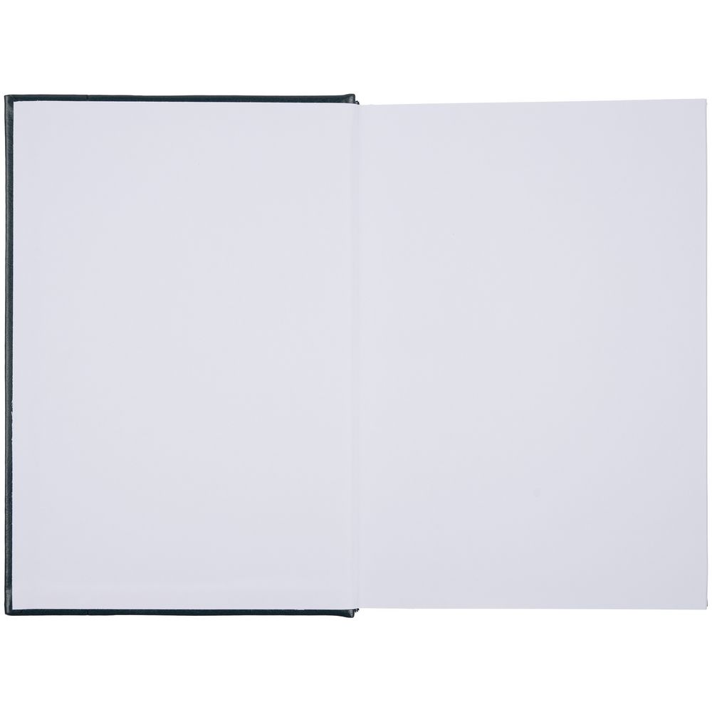 Ежедневник Baza, датированный, зеленый / Миниатюра WWW (1000)