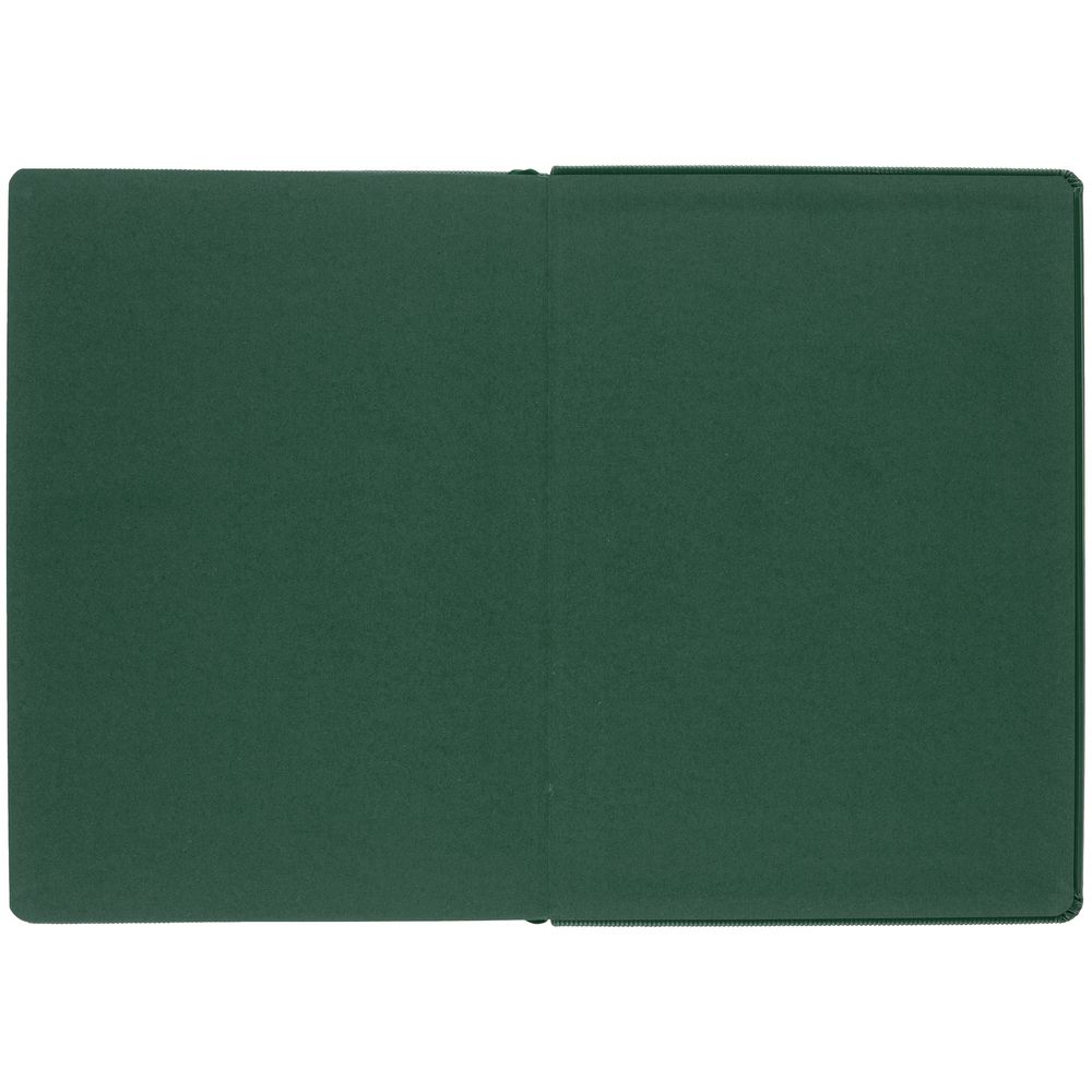 Ежедневник Grid, недатированный, зеленый / Миниатюра WWW (1000)