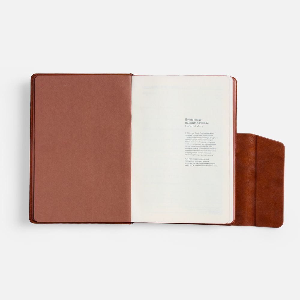 Ежедневник Leadmark, недатированный, коричневый / Миниатюра WWW (1000)