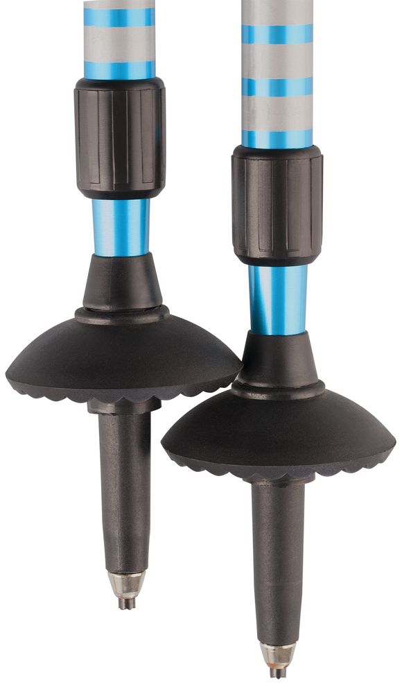 Палки горнолыжные West Highland / Миниатюра WWW (1000)