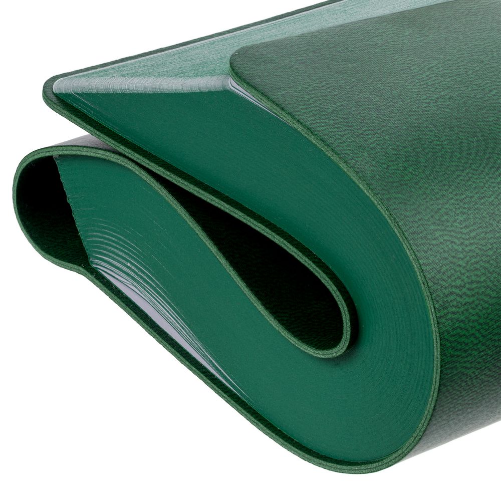 Ежедневник Flexpen Color, датированный, зеленый / Миниатюра WWW (1000)