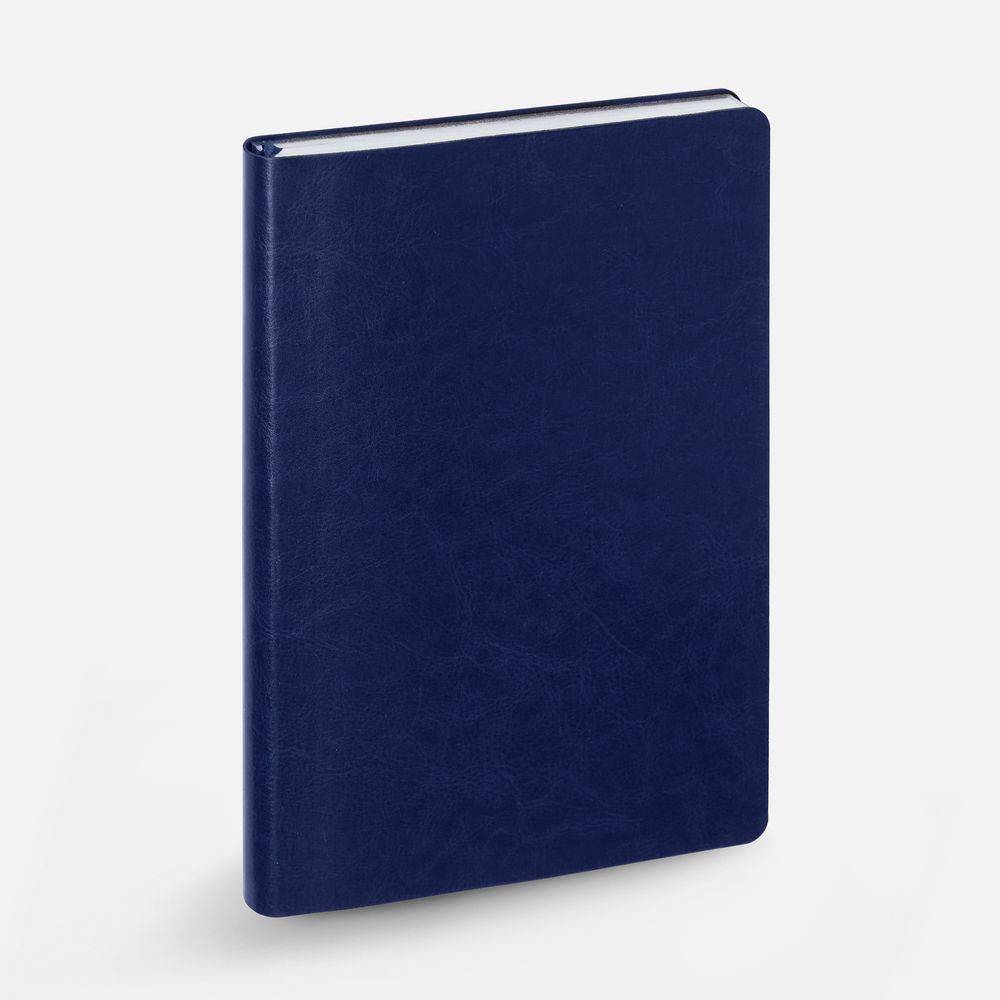 Ежедневник Nebraska Flex, недатированный, синий с серебром / Миниатюра WWW (1000)