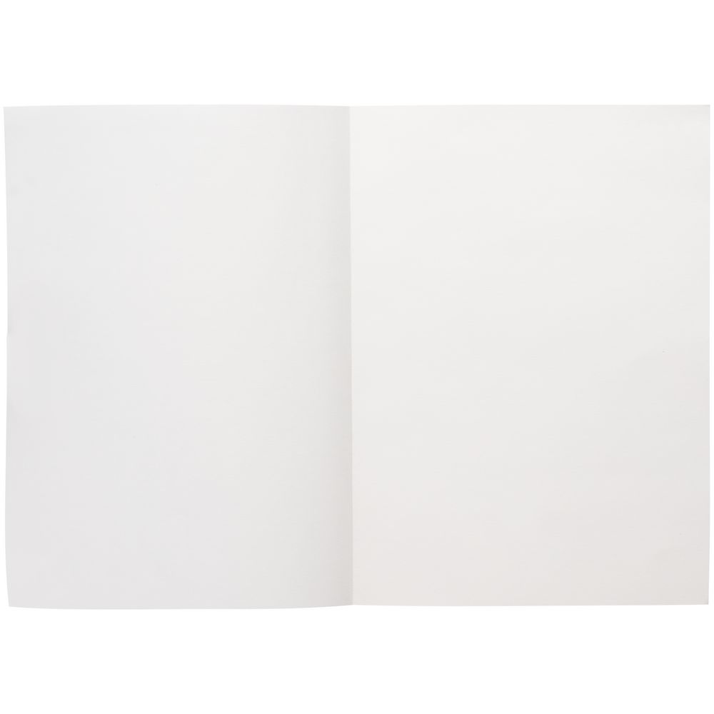 Ежедневник Flat Light, недатированный, серый / Миниатюра WWW (1000)