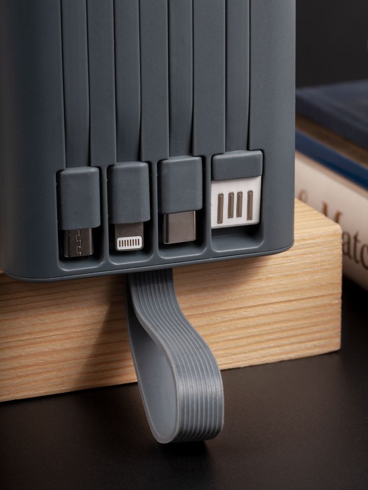 Аккумулятор Trellis Digital 10000 мАч, темно-серый / Миниатюра WWW (1000)