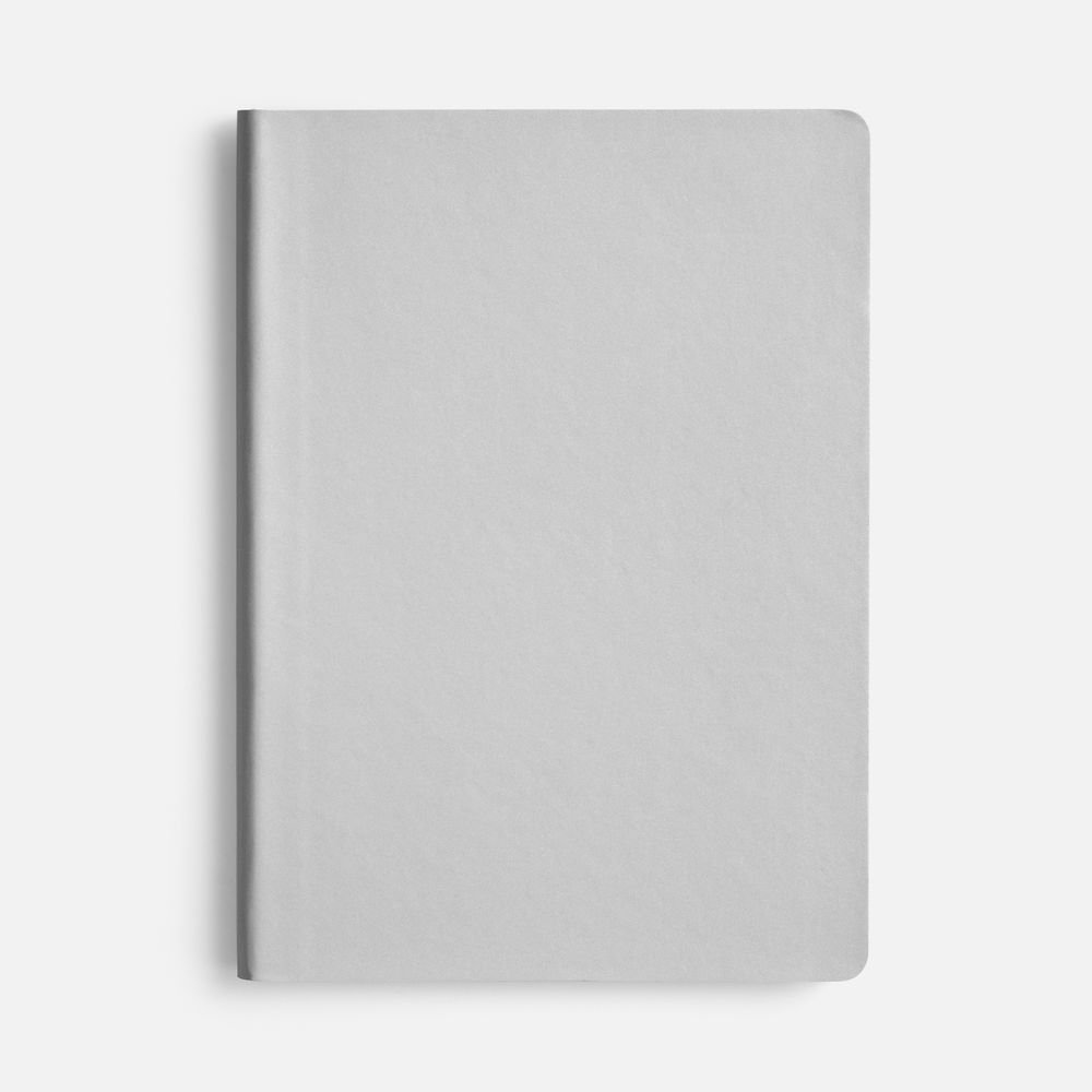 Блокнот Flex Shall ver.2, серебристый / Миниатюра WWW (1000)