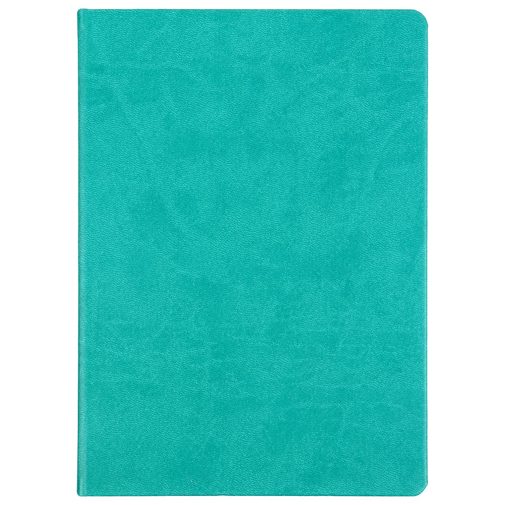 Ежедневник Basis, датированный, бирюзовый / Миниатюра WWW (1000)