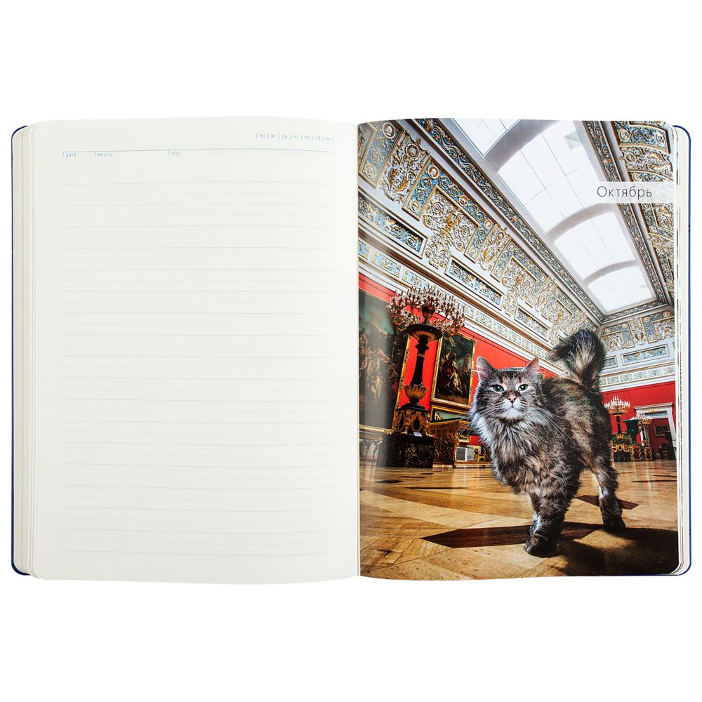 Ежедневник «Эрмитажные коты», синий, уценка / Миниатюра WWW (1000)