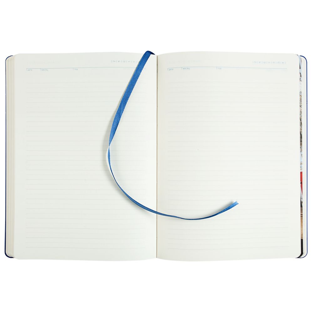 Ежедневник «Эрмитажные коты», синий, уценка / Миниатюра WWW (1000)