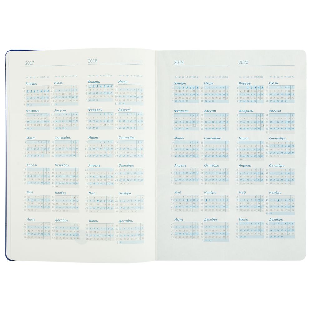 Ежедневник «Эрмитажные коты», синий, уценка / Миниатюра WWW (1000)