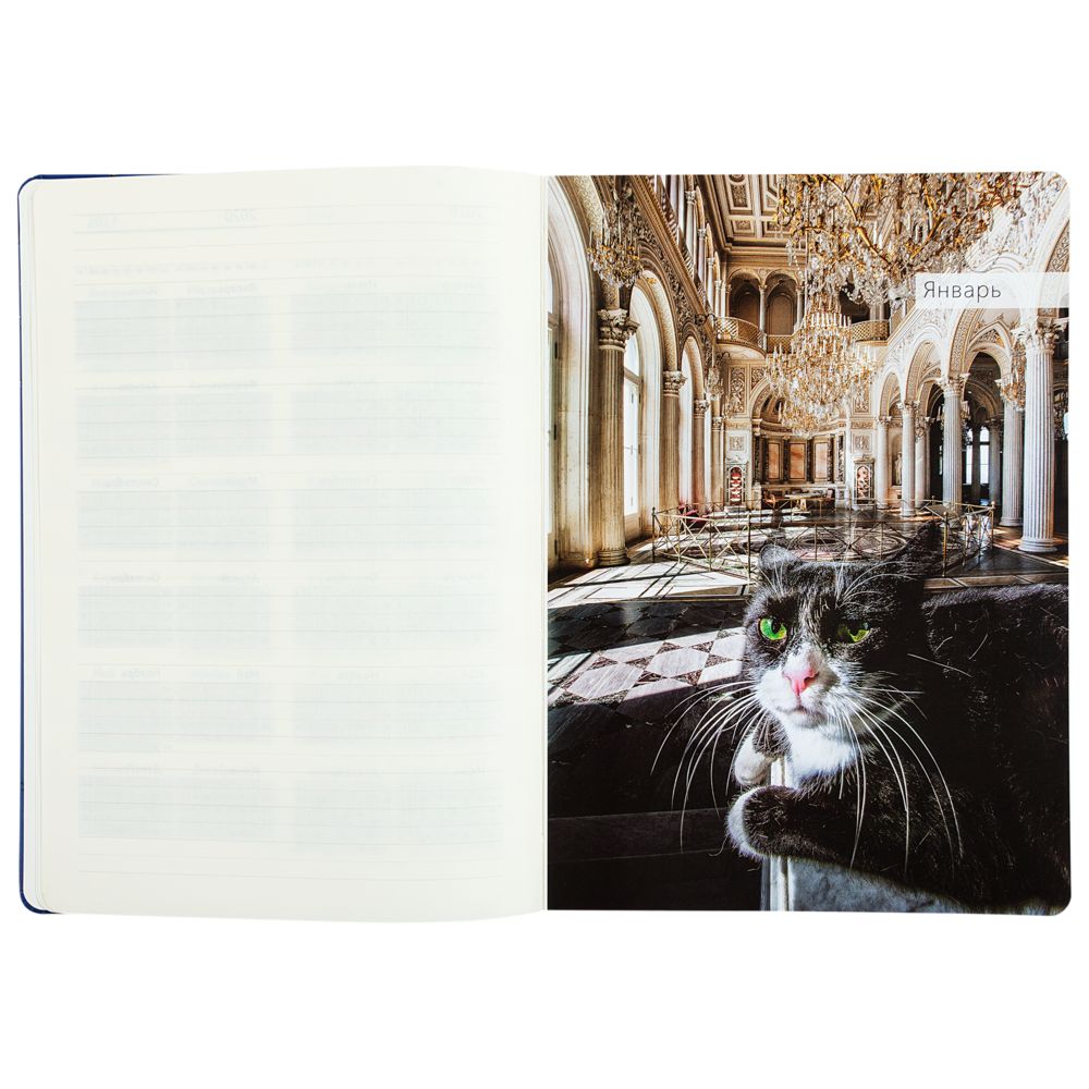 Ежедневник «Эрмитажные коты», синий, уценка / Миниатюра WWW (1000)