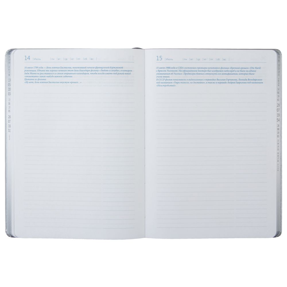 Ежедневник «Исторический», полудатированный, серебро / Миниатюра WWW (1000)