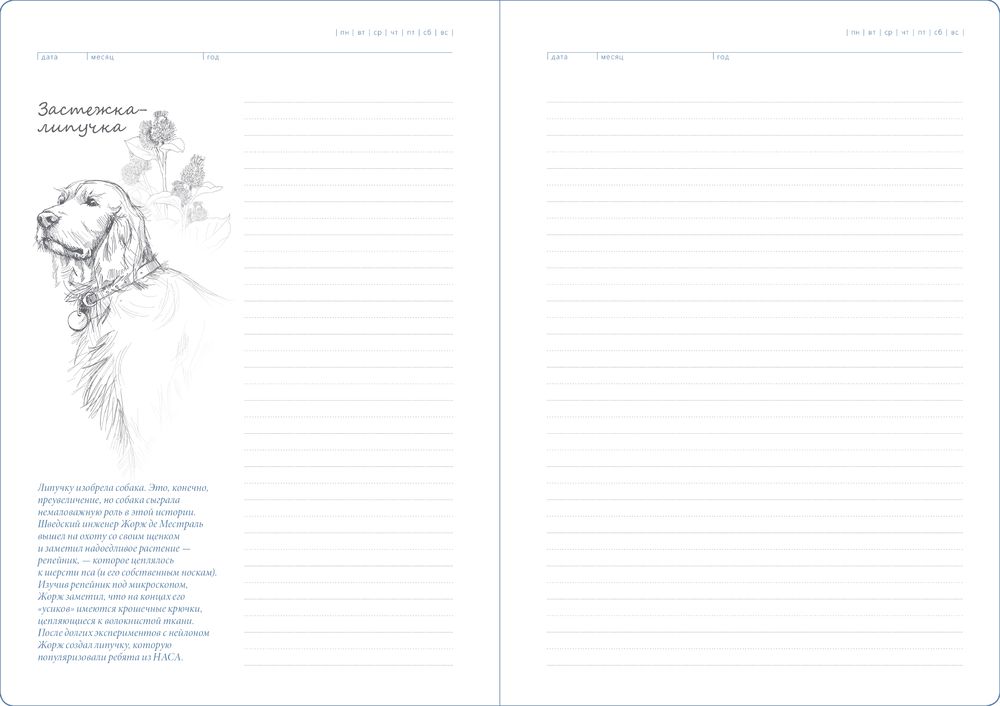 Ежедневник «История изобретений», недатированный, белый / Миниатюра WWW (1000)