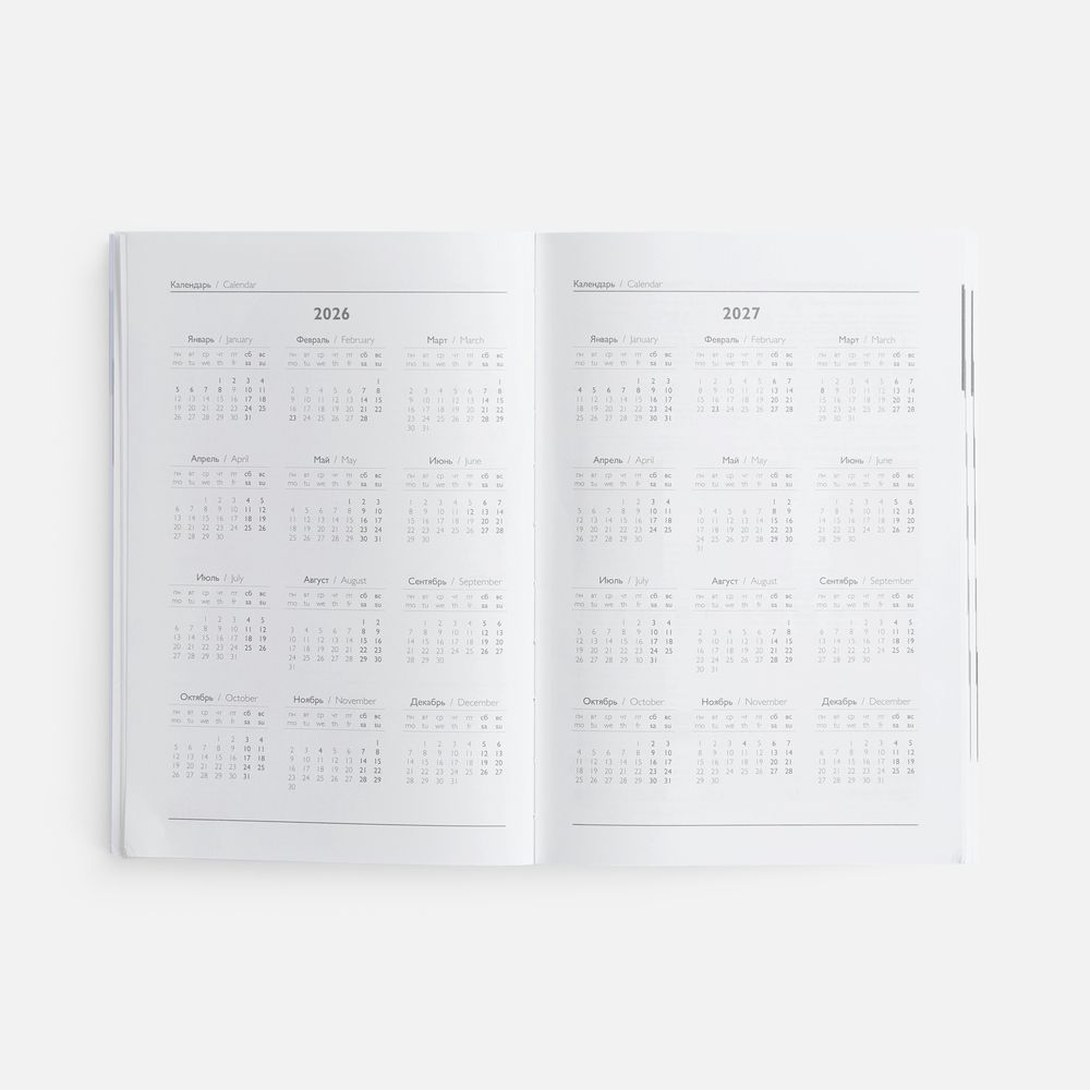 Ежедневник Baza, датированный, красный / Миниатюра WWW (1000)