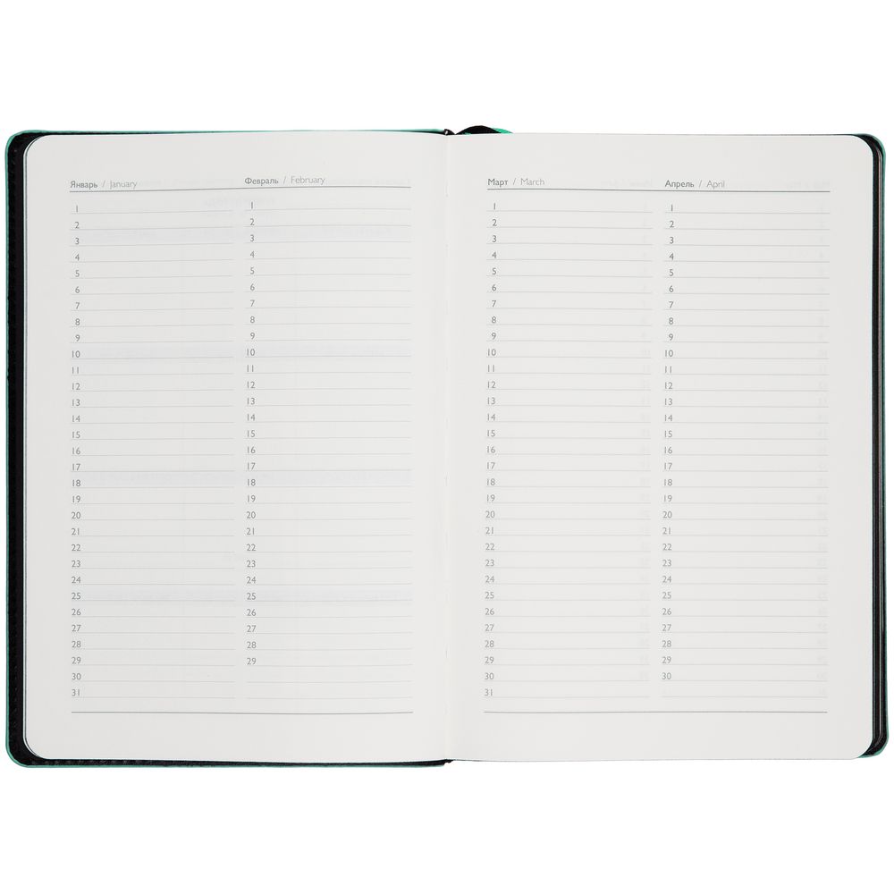 Ежедневник Alanis, недатированный, черный c бирюзовым / Миниатюра WWW (1000)