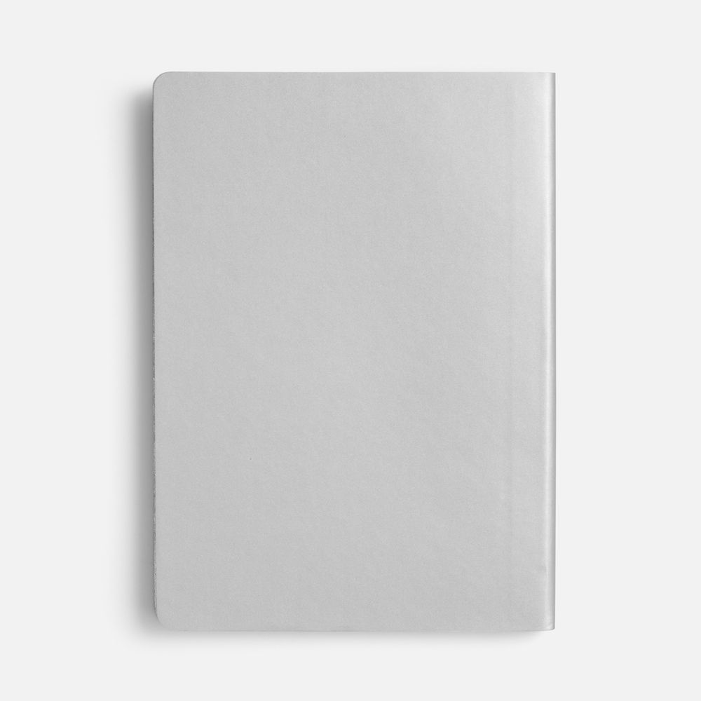 Блокнот Flex Shall ver.2, серебристый / Миниатюра WWW (1000)