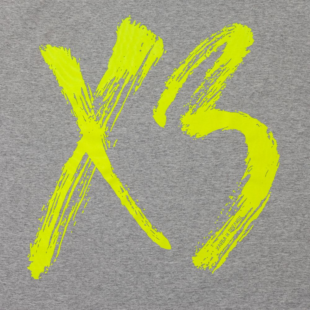 Футболка «ХЗ», серая / Миниатюра WWW (1000)