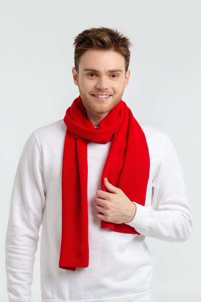 Шарф Life Explorer, красный (алый) / Миниатюра WWW (1000)