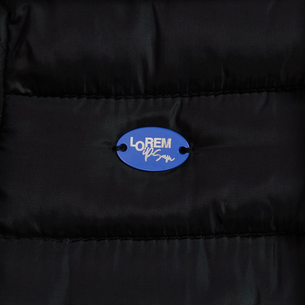 Шильдик металлический Alfa Oval, синий / Миниатюра нанесения (1000)