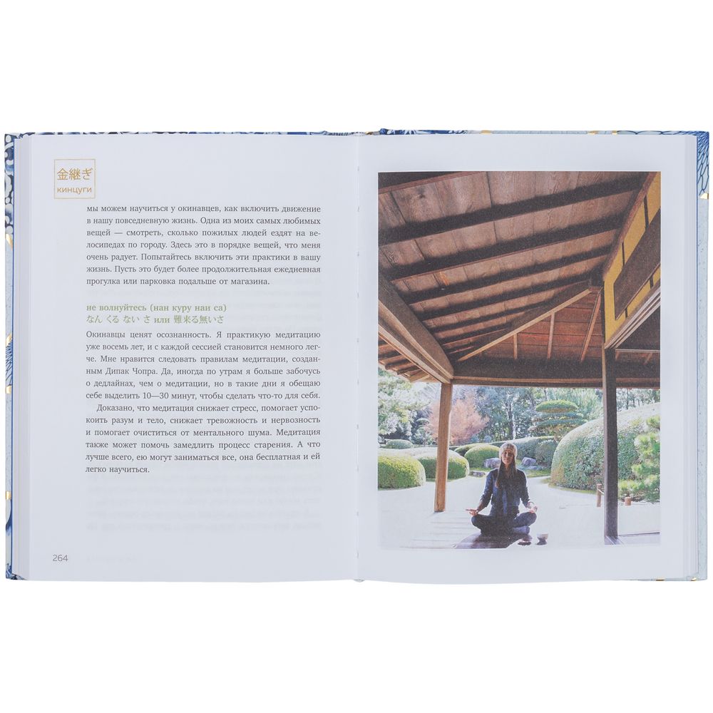 Книга «Кинцуги. Японское искусство превращать неудачи в победы» / Миниатюра WWW (1000)