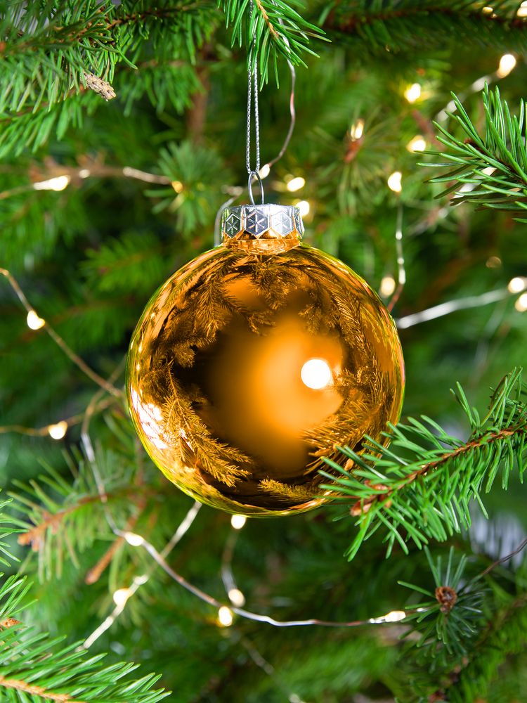 Елочный шар Finery Gloss, 8 см, глянцевый оранжевый / Миниатюра WWW (1000)