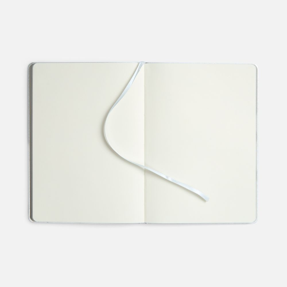 Блокнот Flex Shall ver.2, серебристый / Миниатюра WWW (1000)