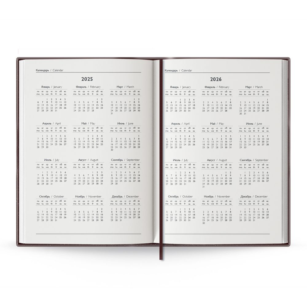 Ежедневник Baza, датированный, коричневый / Миниатюра WWW (1000)