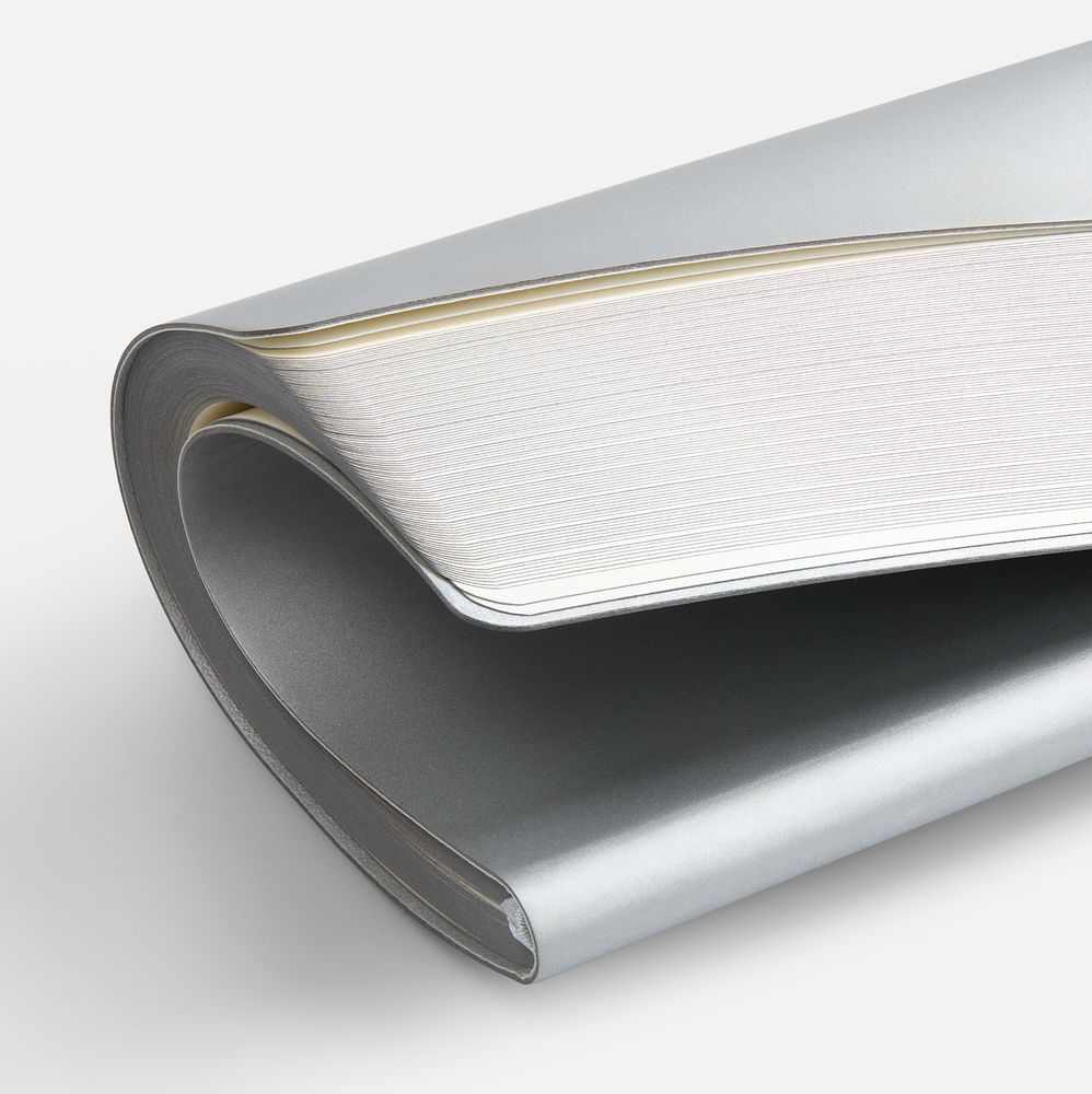 Блокнот Flex Shall ver.2, серебристый / Миниатюра WWW (1000)