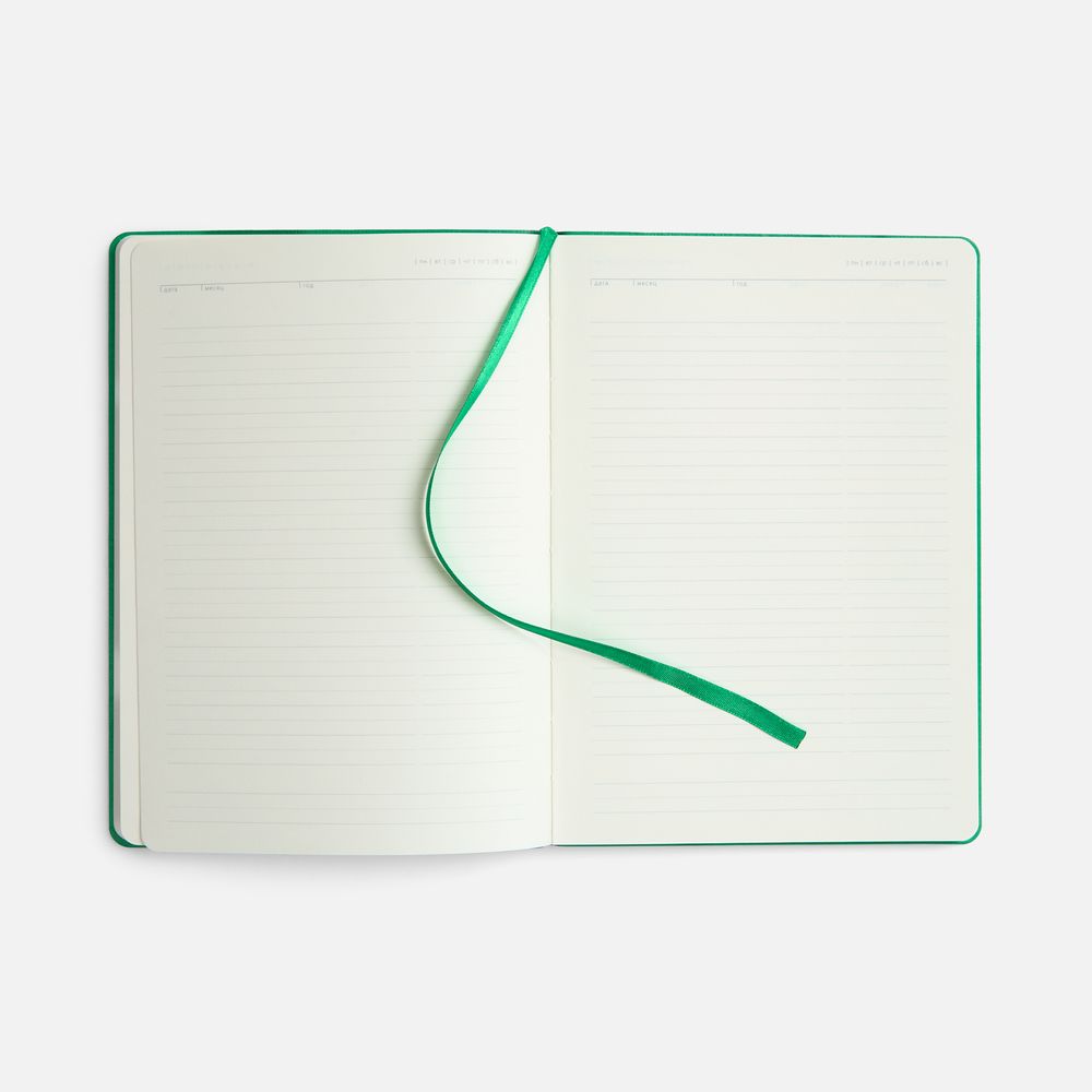 Ежедневник Vale New, недатированный, зеленый / Миниатюра WWW (1000)