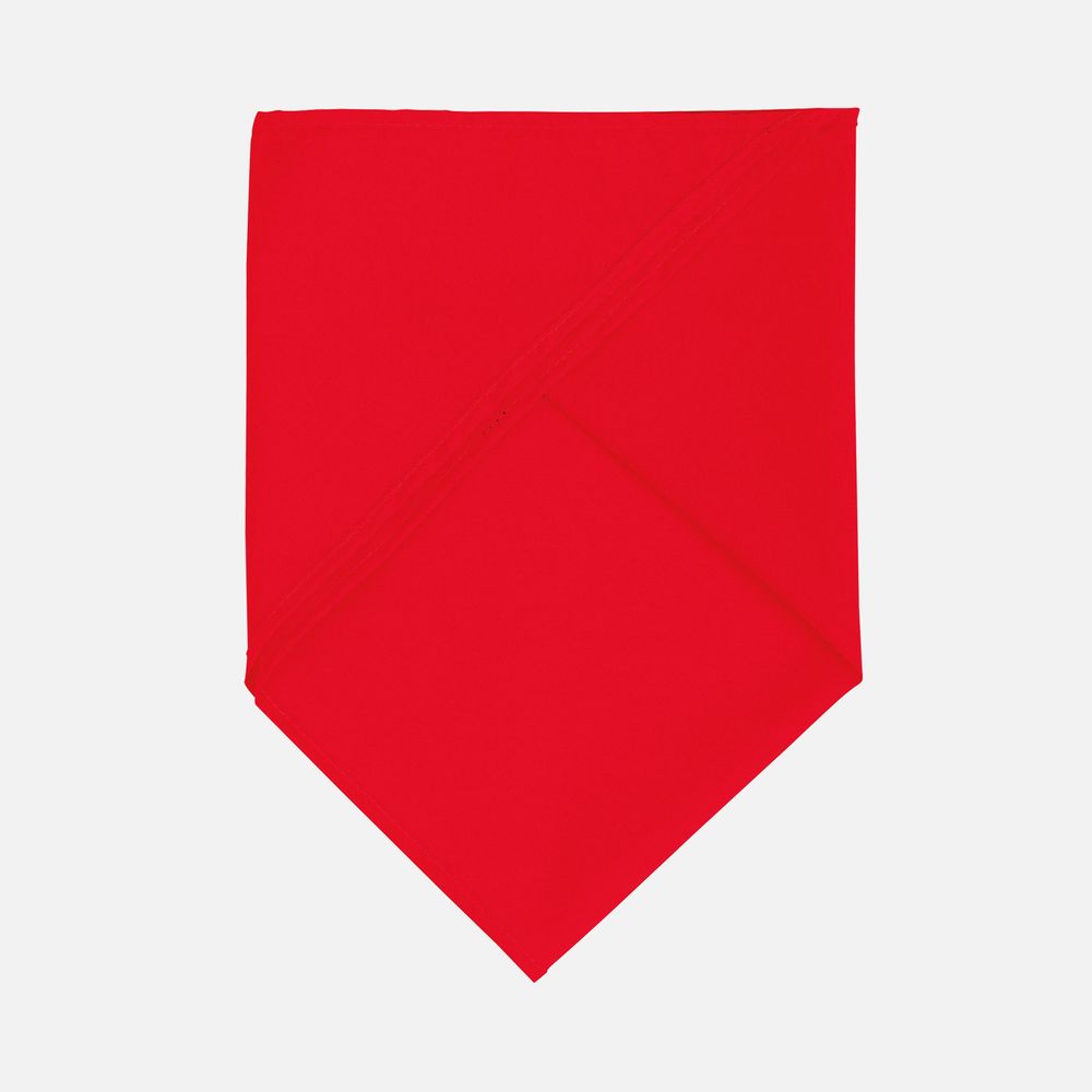 Шейный платок Bandana, красный / Миниатюра WWW (1000)