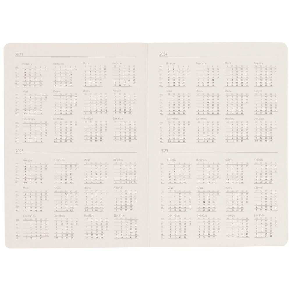 Ежедневник Shall, недатированный, зеленый / Миниатюра WWW (1000)