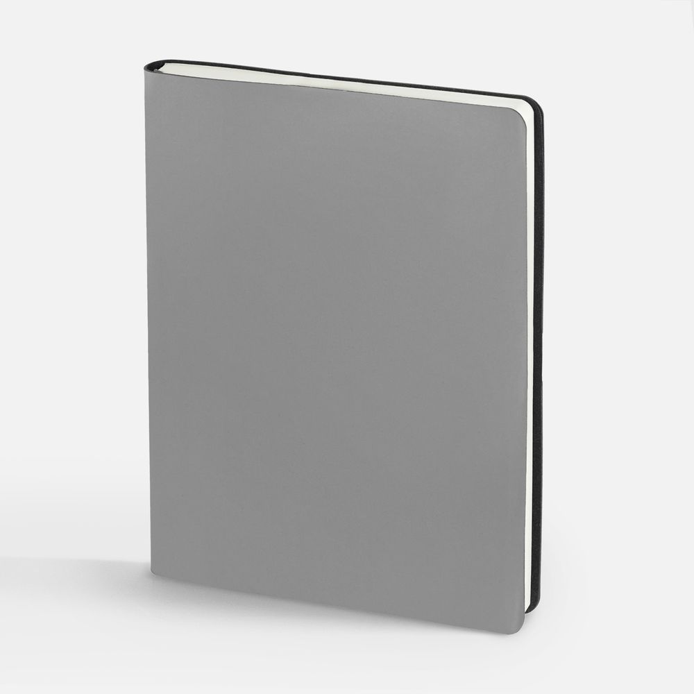 Ежедневник Flex Shall, датированный, серый / Миниатюра WWW (1000)