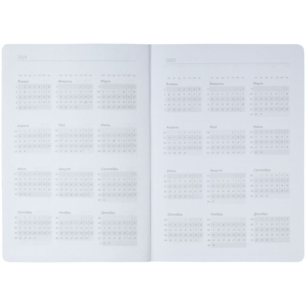 Ежедневник Jungle, недатированный, голубой, уценка / Миниатюра WWW (1000)