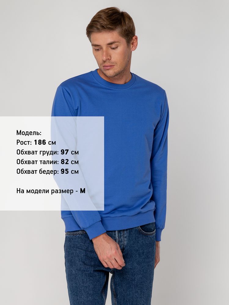 Свитшот Toima 2.0, ярко-синий / Миниатюра WWW (1000)