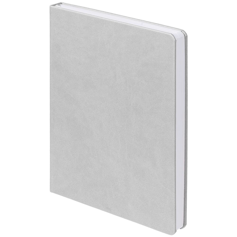 Ежедневник New Brand, недатированный, серый / Миниатюра WWW (1000)