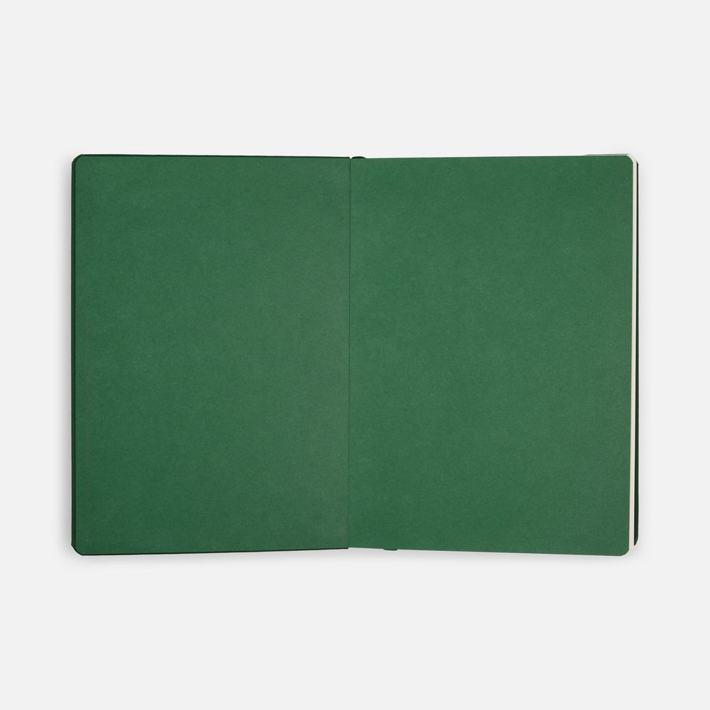 Ежедневник Shall, недатированный, зеленый / Миниатюра WWW (1000)